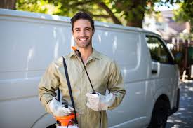 Best Real Estate Pest Inspections  in Cleburne, TX